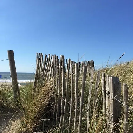 Koningshof *